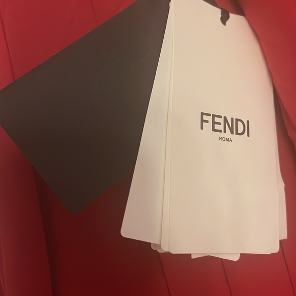 NWT FENDI SHIFT DRESS - Picture 10 of 17